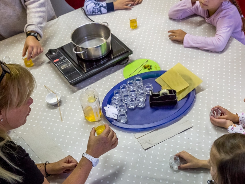 Kräutersalbenherstellung mit einer Schulklasse
