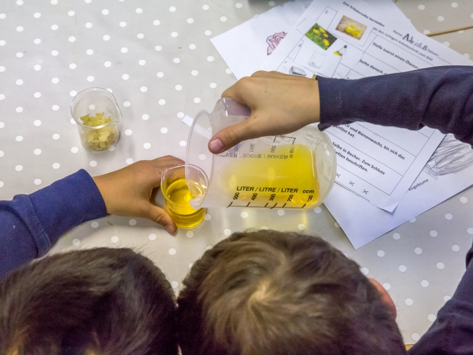 Kräutersalbenherstellung mit einer Schulklasse