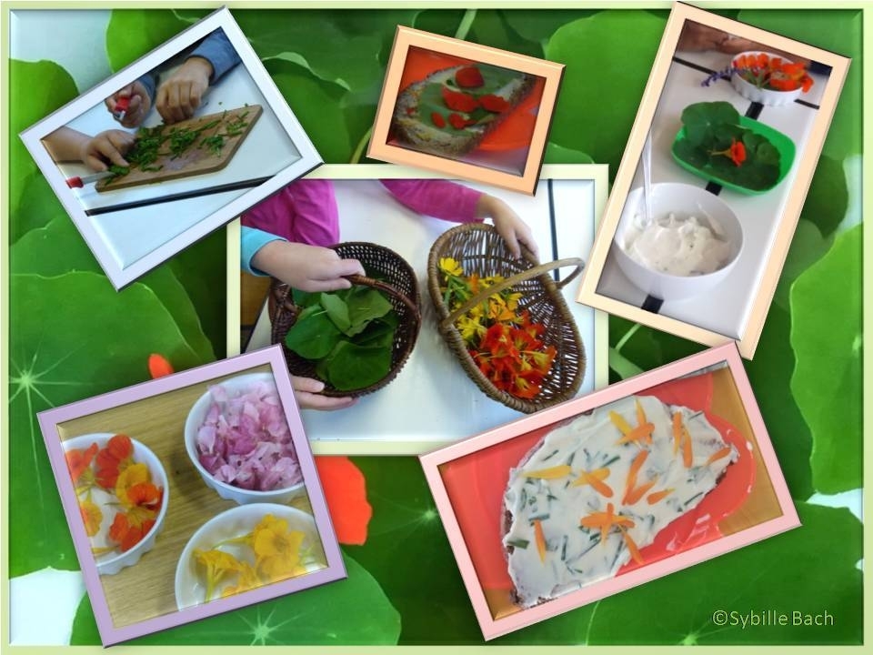 Kräuterfrühstück