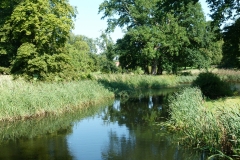 Basedow