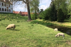 Besucher_am_Wegesrand