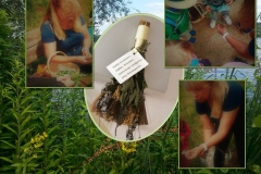 Kräuterwanderung mit Kindern