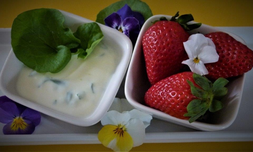 Ampfer-Erdbee-Creme